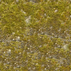 A Seamless Texture for natural backgrounds and materials