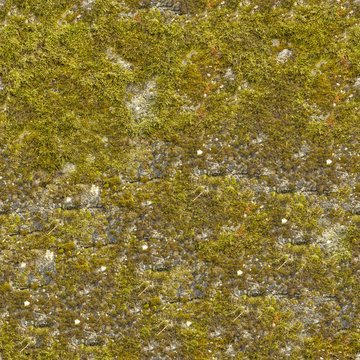 A Seamless Texture for natural backgrounds and materials