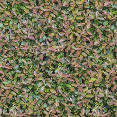 A Seamless Texture for natural backgrounds and materials