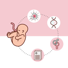 pregnancy fertilization baby connection prescription symbols adn vector illustration
