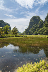 Sulawesi ; Das Tal von  