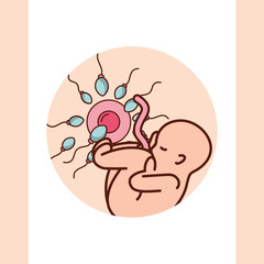pregnancy fertilization baby ovum spermatozoon vector illustration