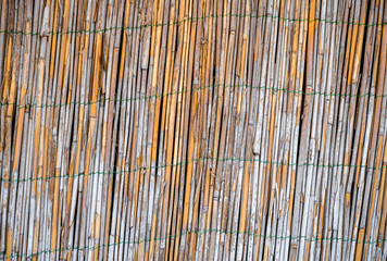 Wavy, weathered, tarnished, partially peeled reed fence texture in an old barn