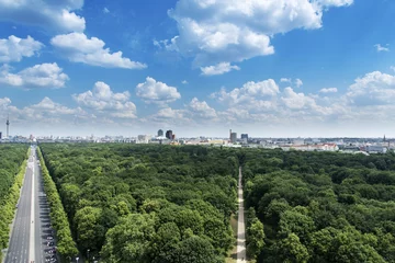 Fotobehang aerial view of Tiergarten and skyline of Berlin. © nito