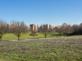 Parco Nord in Milan at March