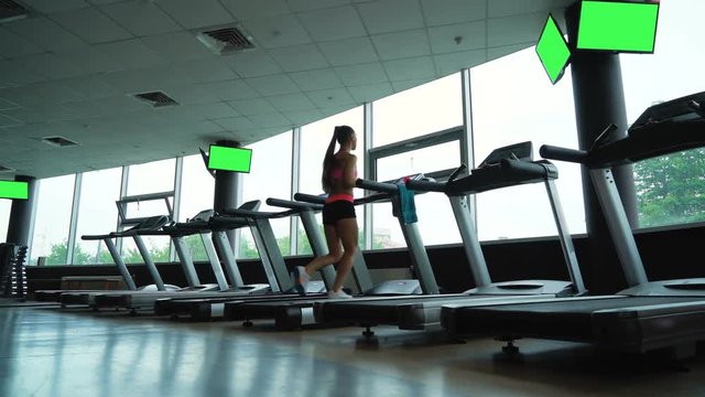 Young woman training in fitness club, gym and sport activity. Female working out and running on treadmill, athlete with wellness equipment. Health, sport and cardio workout concept