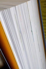 Przybory szkolne, zakończenie roku szkolnego © Pio Si