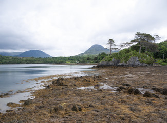 Beautiful beach, with mountains in the background and cloudy skies, with forest along the coast....
