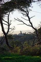 Fototapeta na wymiar Aussicht auf Schloss in Barcelona Spanien durch zwei Bäume hindurch