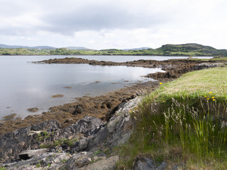 Fototapeta premium View of a beautiful bay surrounded by mountains, with cloudy skies overhead and wild flowers growing in the foreground.