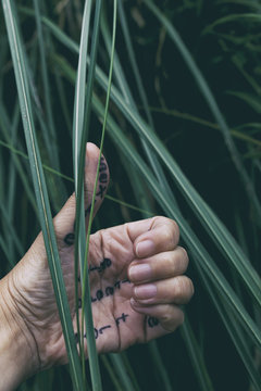messages in hand II