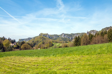 Fototapeta na wymiar Saxon Switzerland - Bastei in background