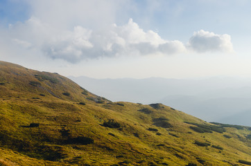 Forested mountain slope in low lying cloud with the evergreen conifers shrouded in mist in a scenic landscape view