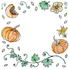 Watercolour Vegetable Pumpkin. Plant with Leaves, Flower and Seeds. Realistic Hand Drawn Illustration. Savoyar Doodle Style.