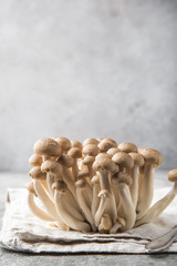 fresh  brown shimeji mushrooms