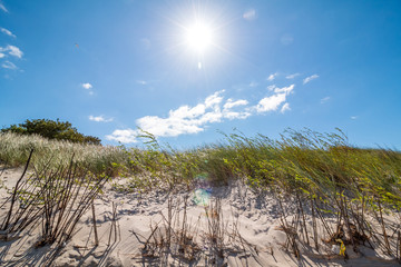 Beach in Poland 