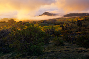 Sunset in la Plaine des Cafres, Reunion Island