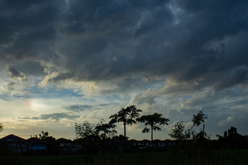 The beauty of the sky and trees.