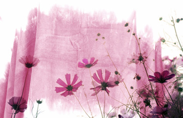 Soft focus blurred pattern of cotton fabric With cosmos flower for background