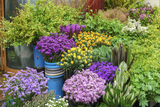 Variety Of Flowers And Plants Selling In Flower Shop In Kurumon Market , Osaka , Japan