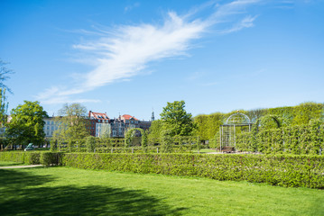 Obraz premium beautiful green lawn with trees and bushes in botanical garden in copenhagen