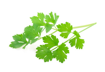 Celery isolated on white background