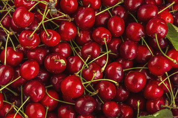 Cherry many berries background