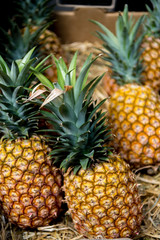 Fototapeta premium selective focus of pineapples in cardboard box
