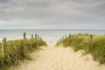 Dutch coastal area with sand, beach, marram grass, and entrance to the North sea