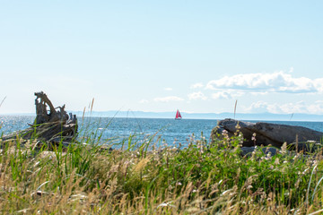 Sailing in Puget Sound