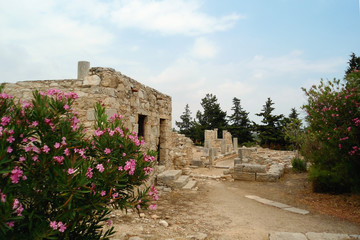ruins of an ancient Greek residential house in a park with flowering trees, Kourion site (Cyprus)
