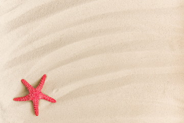 Fototapeta na wymiar Summer beach. Starfish on the sand as background. Summer background. Flat lay, top view, copy space