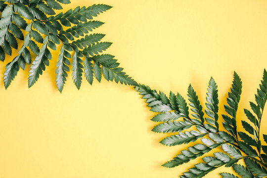 Tropical leaves on yellow background. Minimal concept. Summer background. Flat lay, top view, copy space 