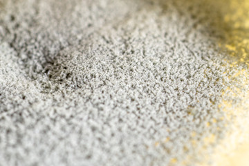 Backgrounds of Penicillium, ascomycetous in petri dish for well as food and drug production.
