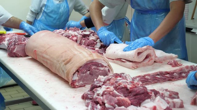 Food processing plant, pork meat. Butchers cut meat