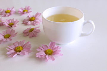 Fototapeta na wymiar Romantic background with cup of coffee with pink Leucanthemum flowers over white table. Soft photo. Greeting card style. place for text, Top view flat lay with copy space for slogan or text.