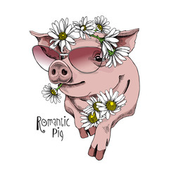 Pig in a sunglasses and in a flower Chamomile headband. Vector illustration.