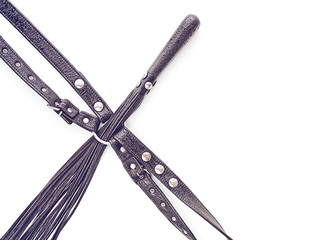 The leather whip is inserted into the metal loop of the harness for BDSM games. Wet sex toys with water drops on them isolated on white background. The image is suitable for advertising a sex shop.