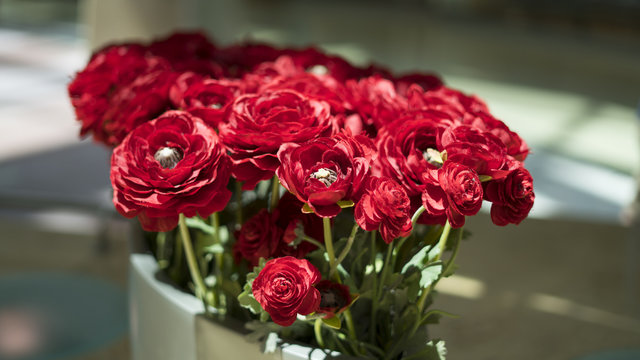 Blooming Red