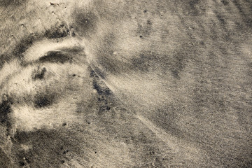 Texture of sea sand