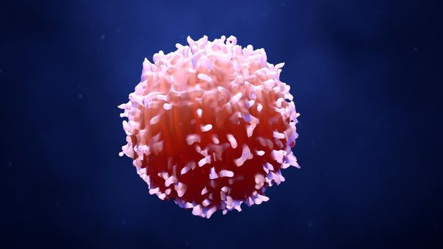 Cancer Cell or Lymphocyte in motion