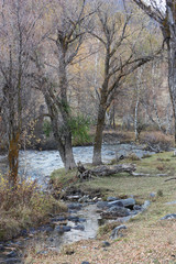 In autumn on the bank of the mountain river