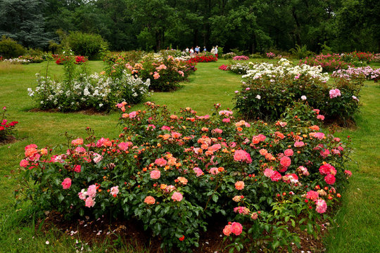 Parc de Bagatelle, Paris