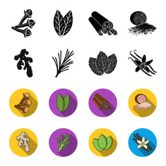 Ginger, rosemary, vanilla, mint.Herbs and spices set collection icons in black,flet style vector symbol stock illustration web. © pandavector