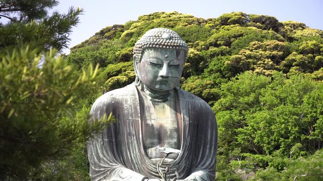 giant Buddha in Kamakura, vertical slider shot