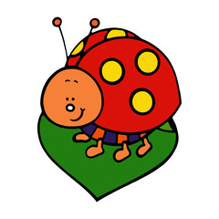 Ladybug cartoon illustration isolated on white background for children color book