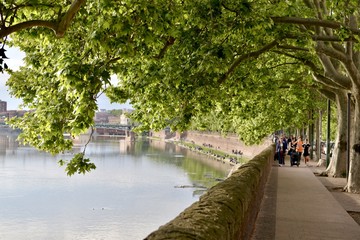 toulouse ガロンヌ川の風景