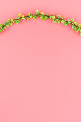Color paper background with flowering barberry