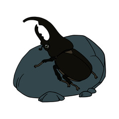 Bug cartoon illustration isolated on white background for children color book