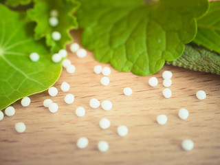 Homöopathie / Naturheilkunde - Globuli Heilkräutern